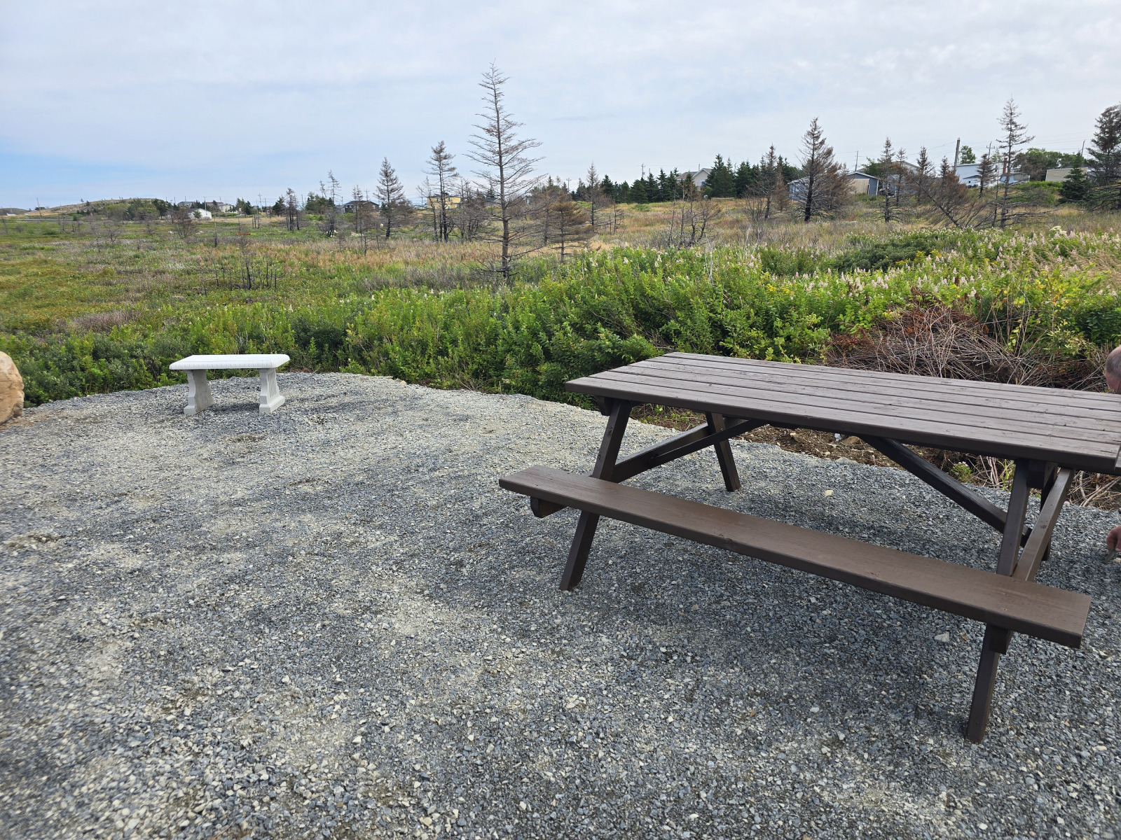 Kingtston Seating Area