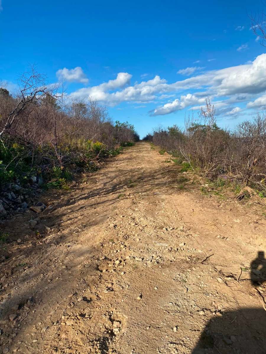North Shore Recreation Trails